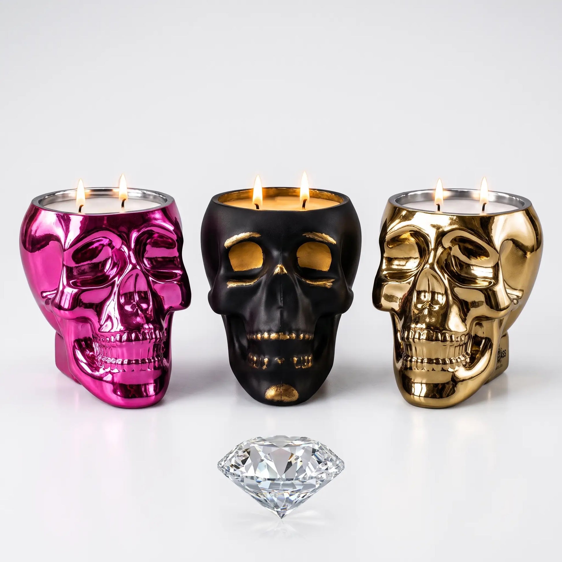 The Skull Bundle-image
